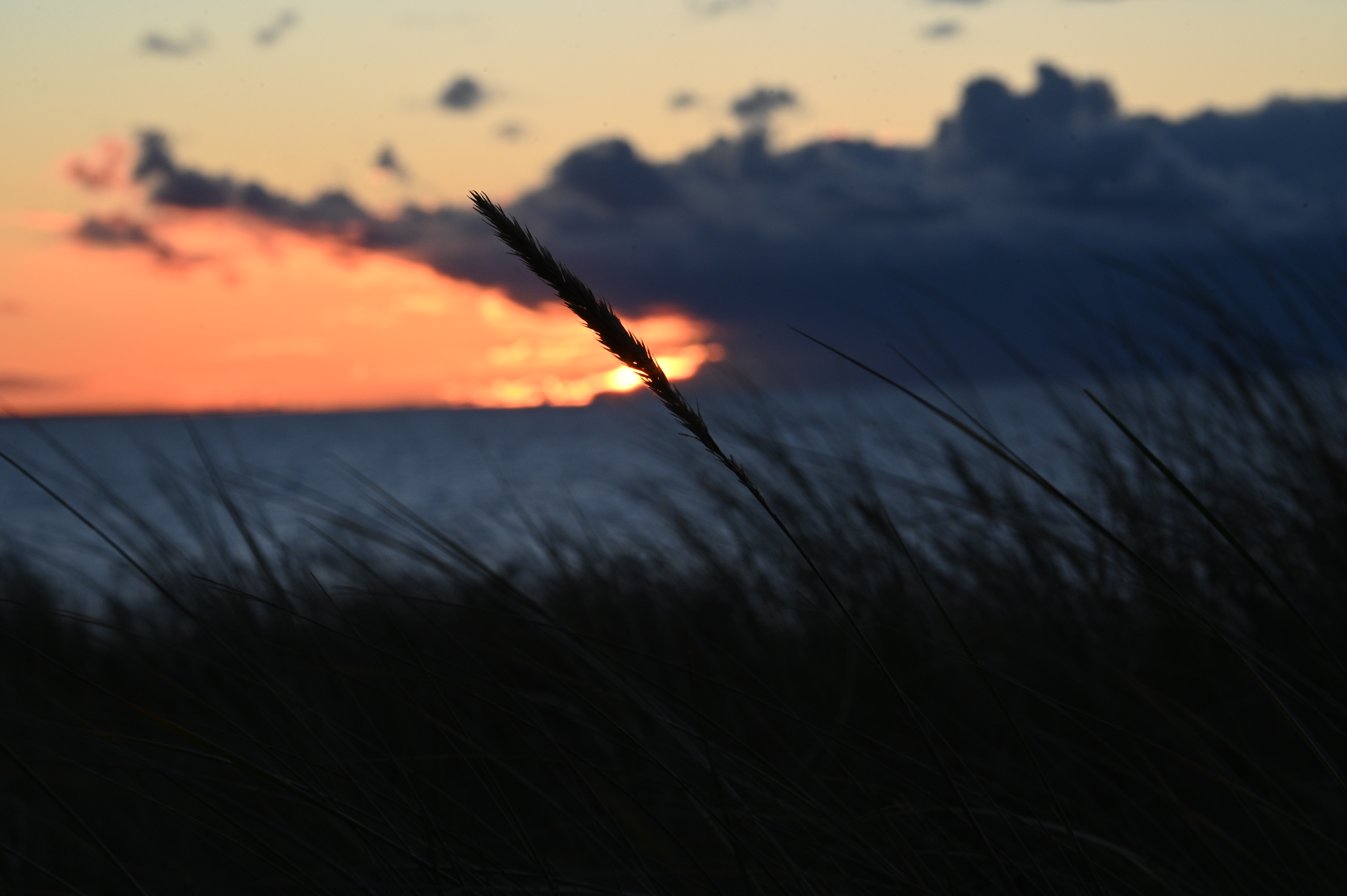 2025/10/18 - walk/DSC_0500.JPG